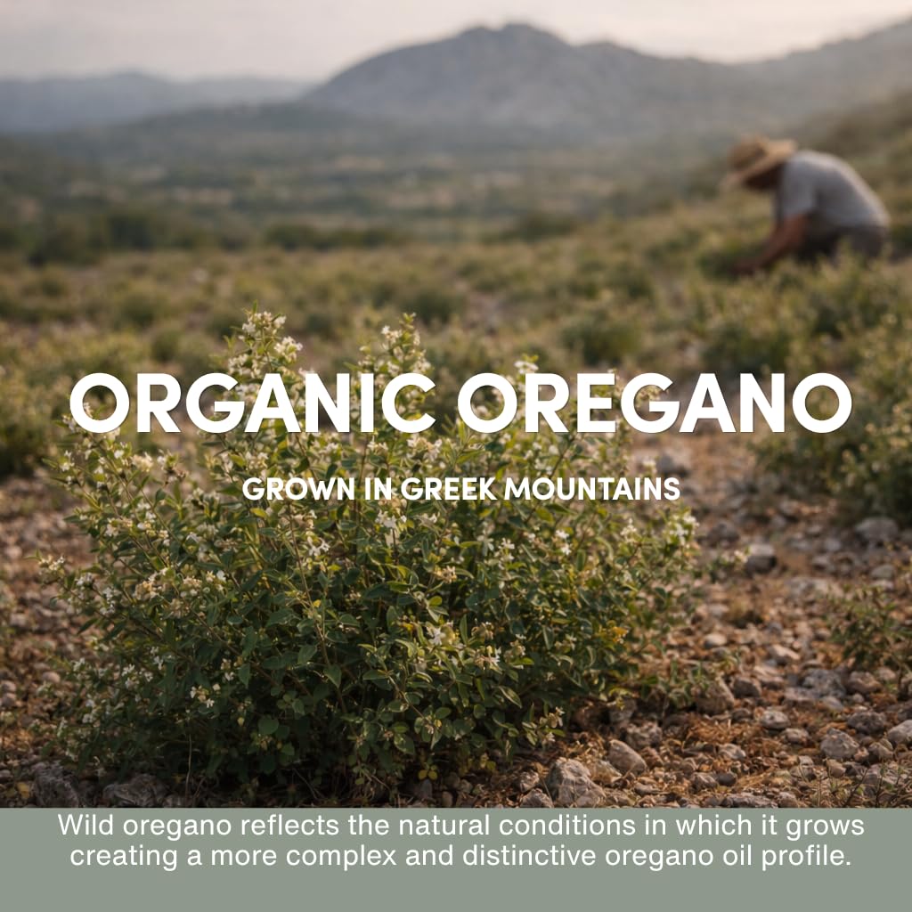AROMAVITA Wild Oregano Essential Oil Certificate of Analysis