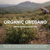 AROMAVITA Wild Oregano Essential Oil Certificate of Analysis