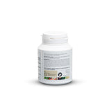 ART OF NATURE MASTIHA Mastiha Capsules back view with ingredients