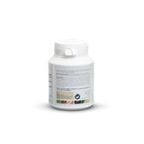 ART OF NATURE MASTIHA Mastiha Powder 50g in a glass of water