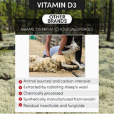 Arthur Andrew Medical KD Ultra Vitamin D3 and K2 supplement on a wooden table