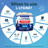 Artullano L-Lysine Powder for Cats 159g side view