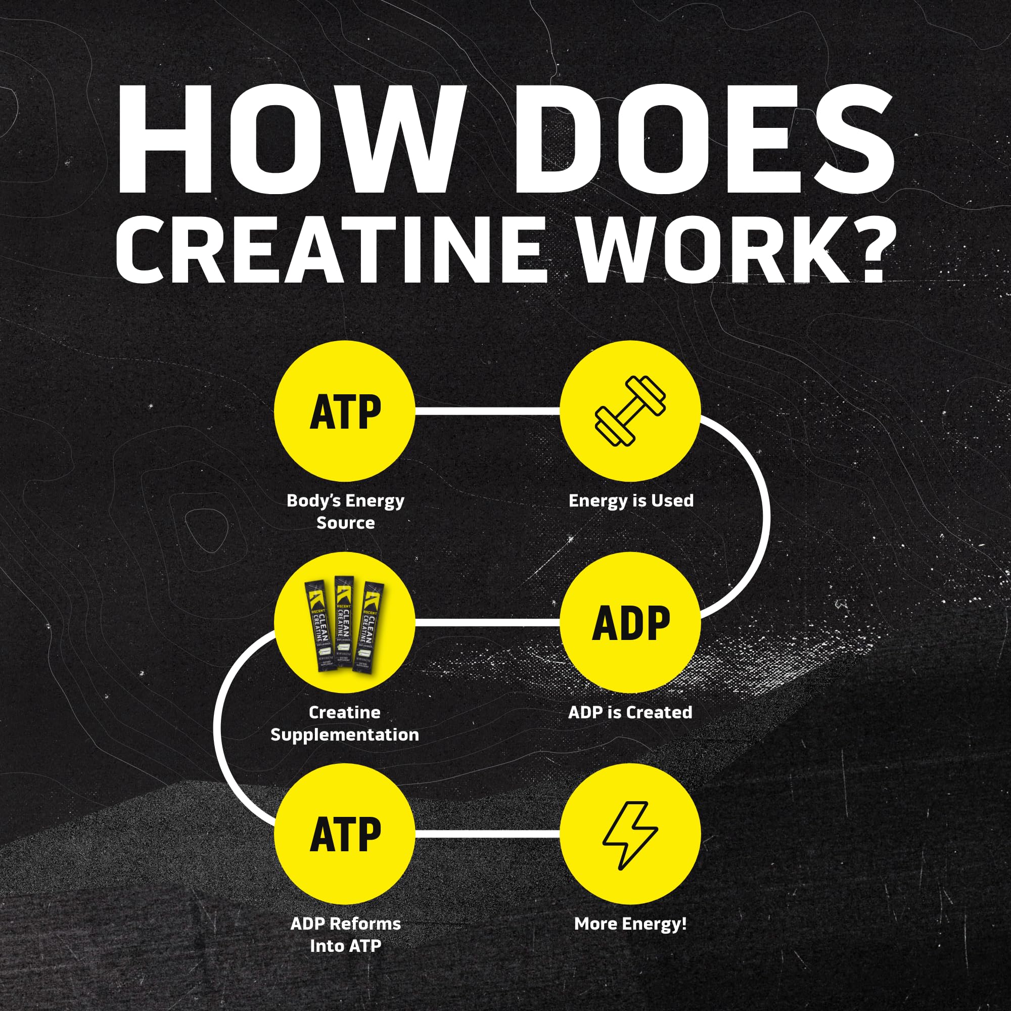 Ascent Clean Creatine Monohydrate 109g in a gym setting