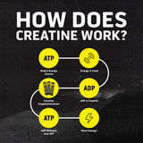 Ascent Clean Creatine Monohydrate 109g in a gym setting
