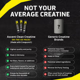 Ascent Clean Creatine Monohydrate 109g scoop for easy measuring