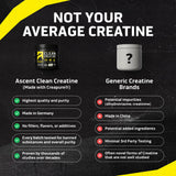 Ascent Clean Creatine Monohydrate 225g packaging