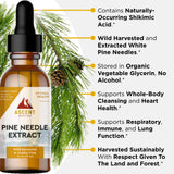 Ascent Nutrition Eastern White Pine Extract 28g tincture dropper