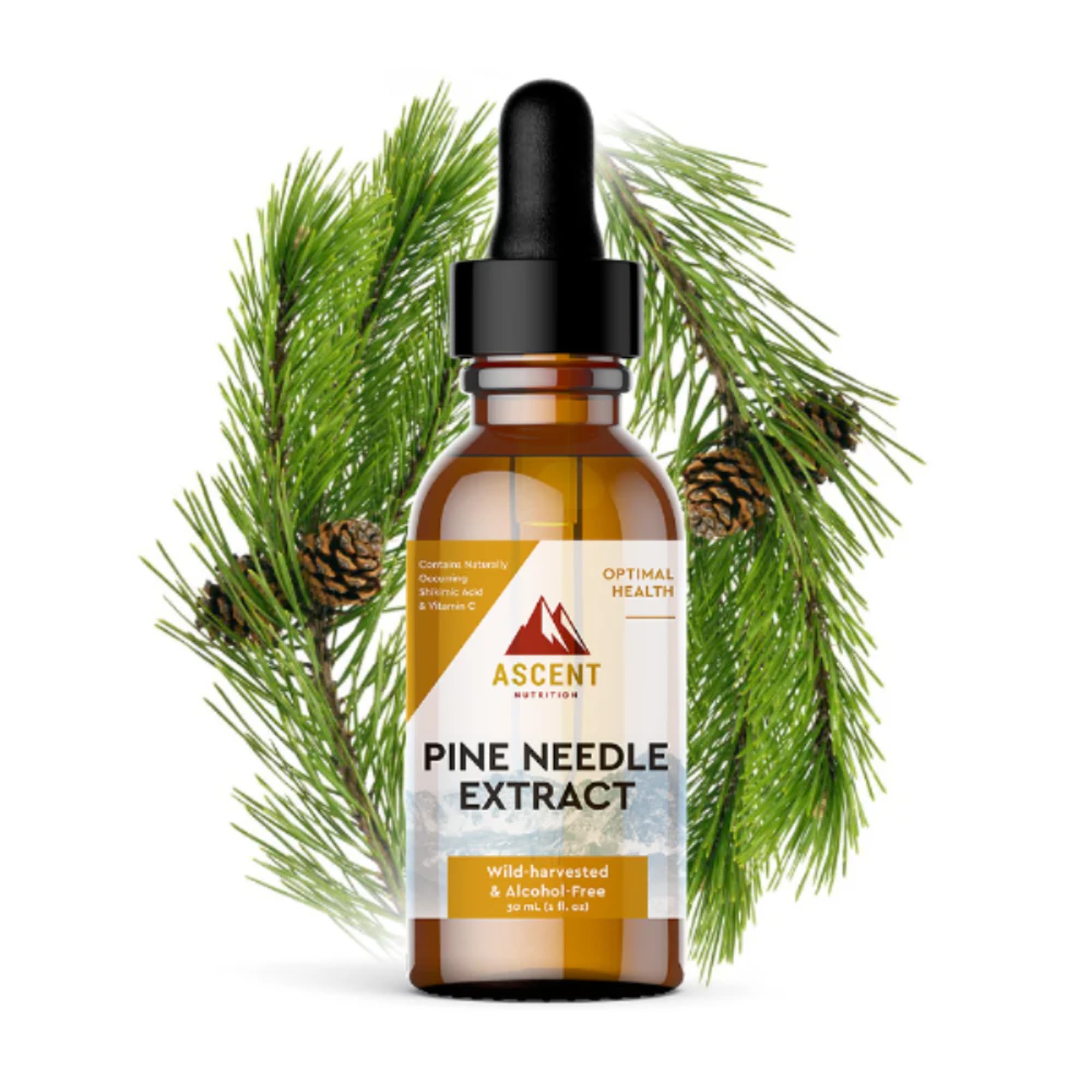 Ascent Nutrition Eastern White Pine Extract 28g tincture front view