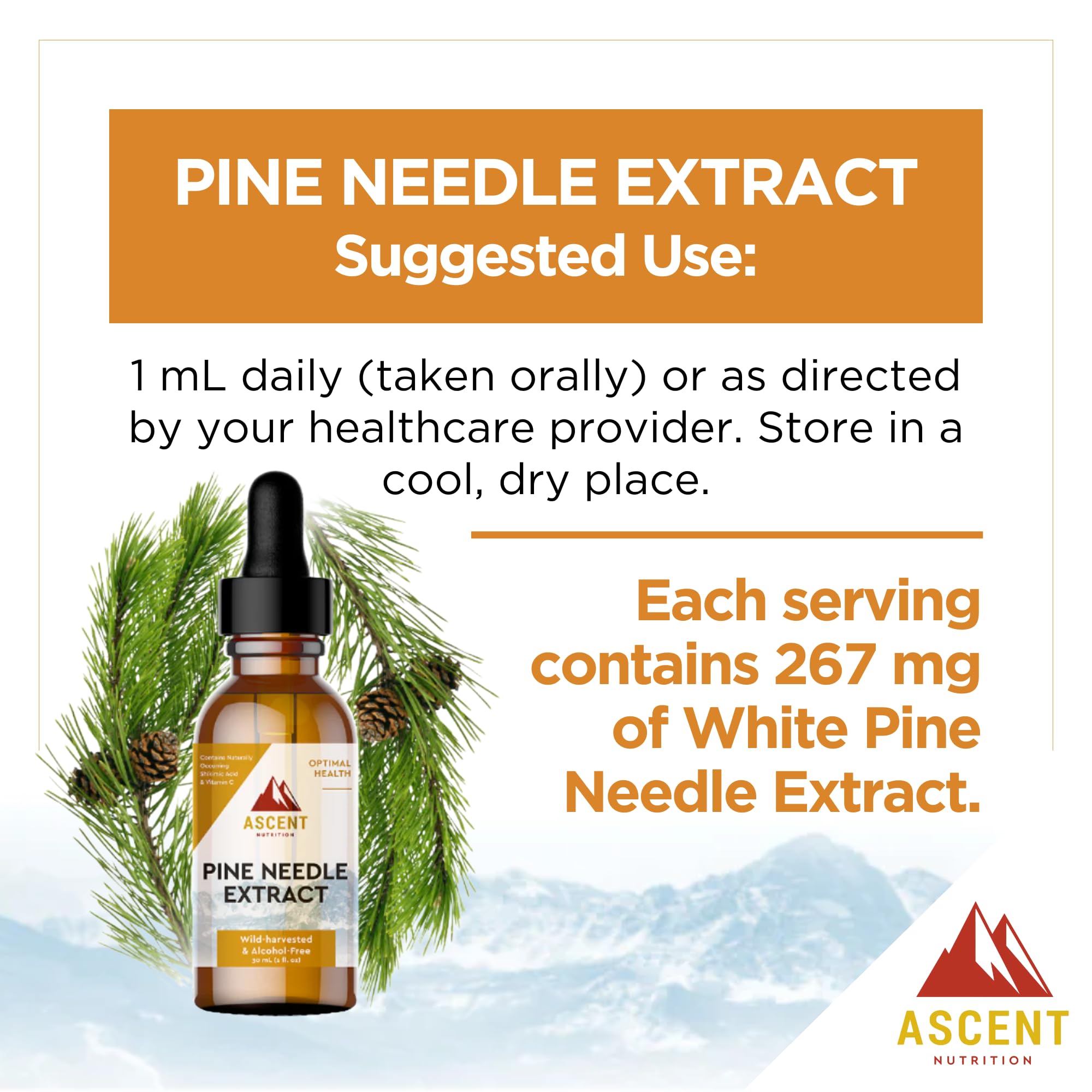 Ascent Nutrition Eastern White Pine Extract 28g tincture with measuring dropper