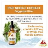 Ascent Nutrition Eastern White Pine Extract 28g tincture with measuring dropper