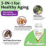 Ascuoli NMN 500mg + Trans-Resveratrol 600mg supplement capsules
