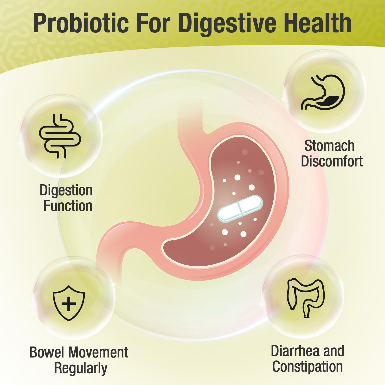 Ascuoli Probiotics 3 in 1 Supplement capsule in hand