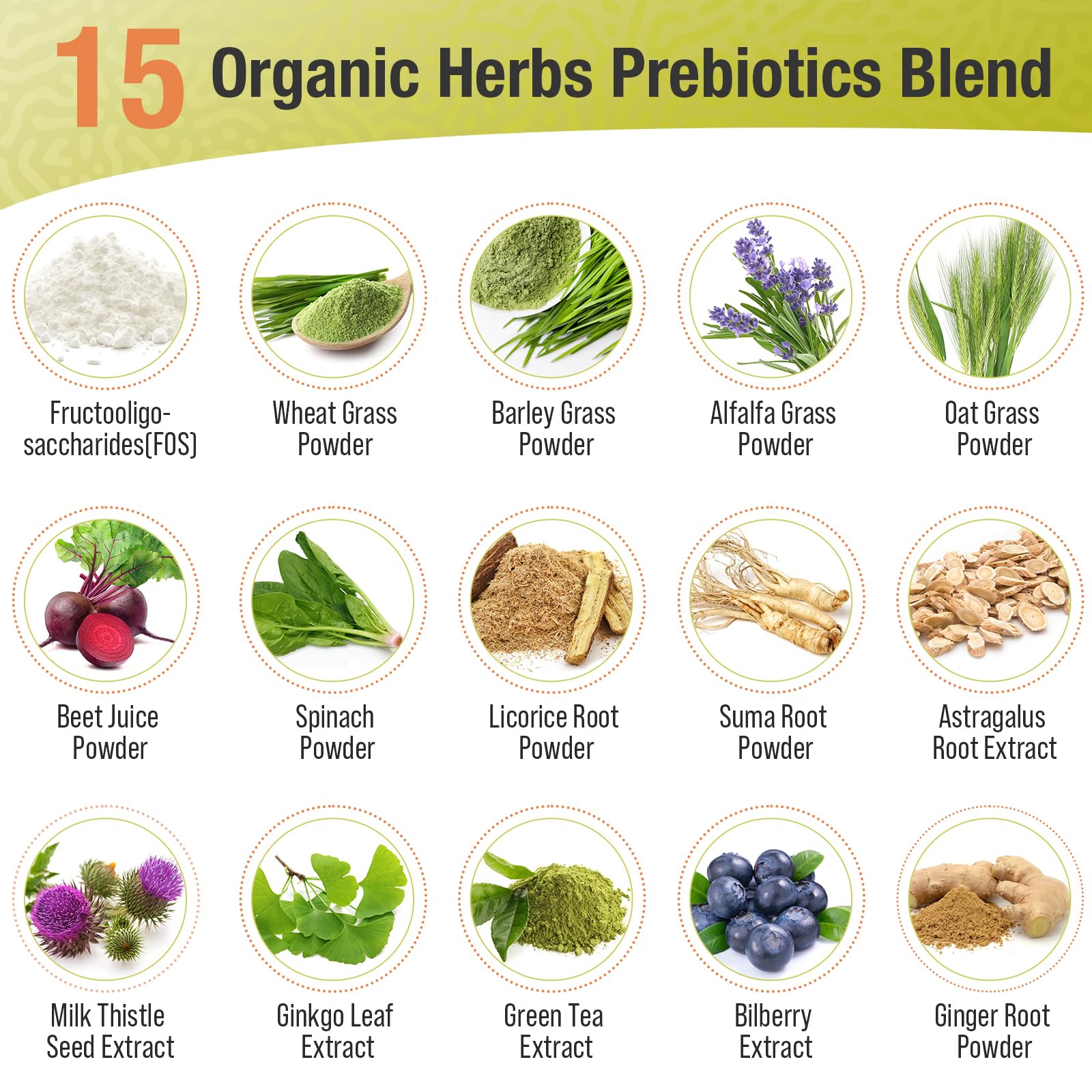 Ascuoli Probiotics 3 in 1 Supplement ingredients list