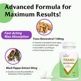 Ascuoli Trans-Resveratrol bottle with 60 capsules displayed