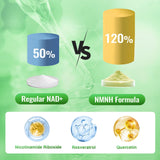 Ashenutri B3 (Niacin) Supplement ingredients list