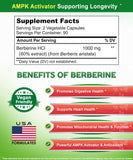 aSquared Nutrition Berberine HCl 1000mg supplement label details