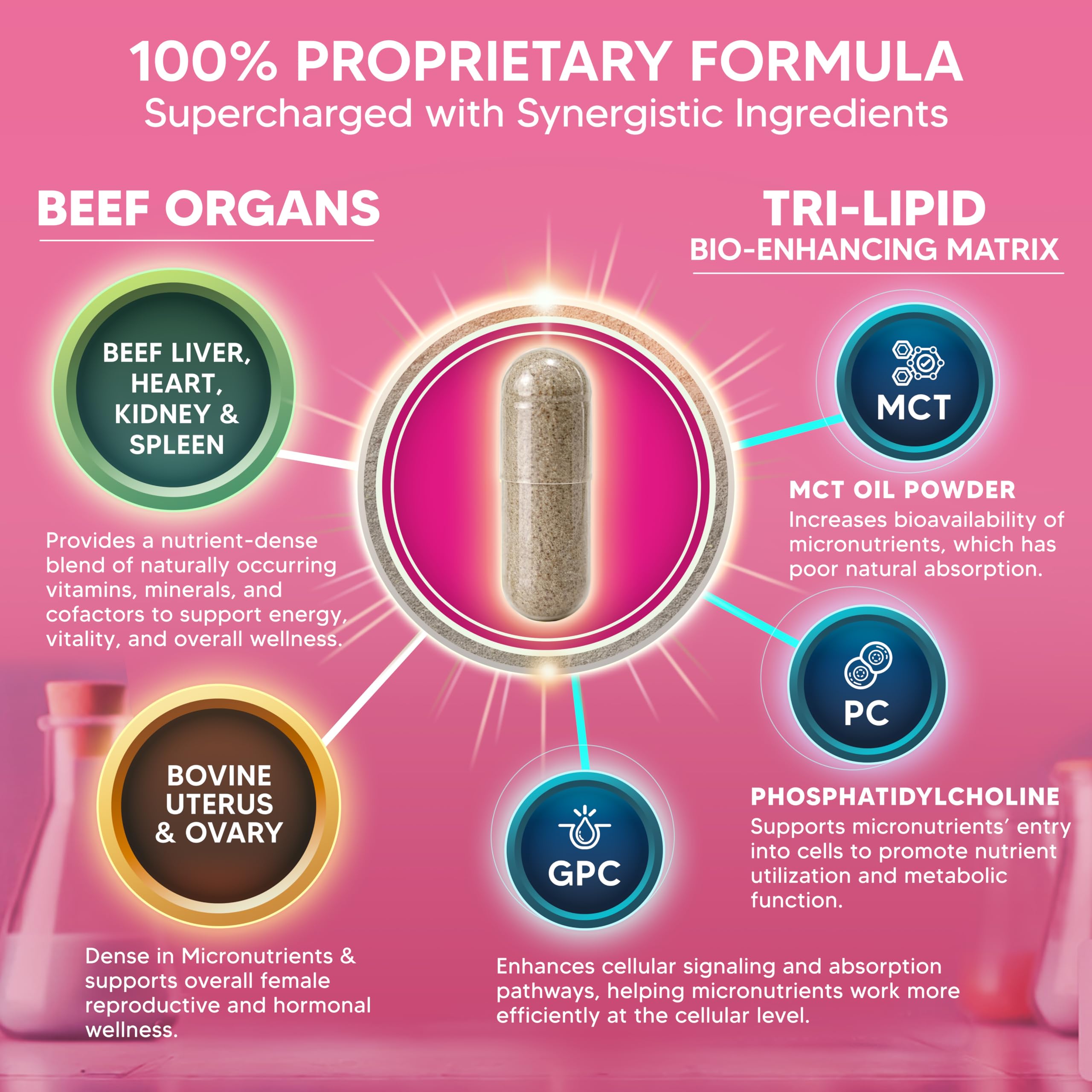 aSquared Nutrition Women’s Beef Organ Complex lifestyle scene with supplements