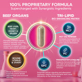 aSquared Nutrition Women’s Beef Organ Complex lifestyle scene with supplements