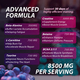 Asumtal Creatine Monohydrate Gummies with BCAA and L-Carnitine