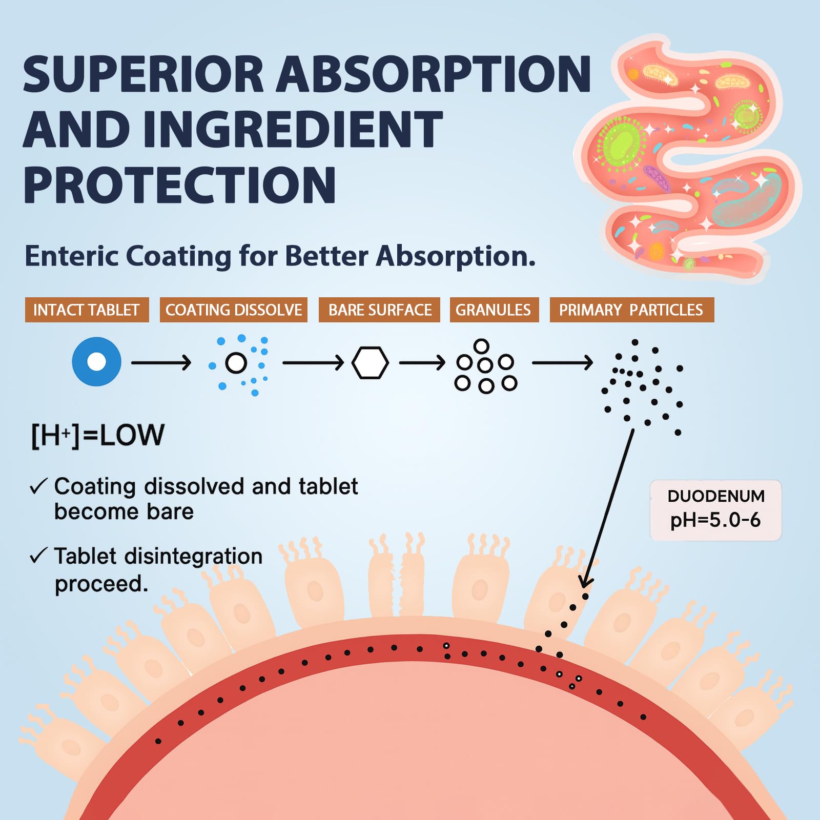 Atherionyxora Multi-Enzyme Supplement 3-in-1 ingredients list