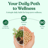 Athletic Choice Wormwood Black Walnut Clove Supplement ingredients list