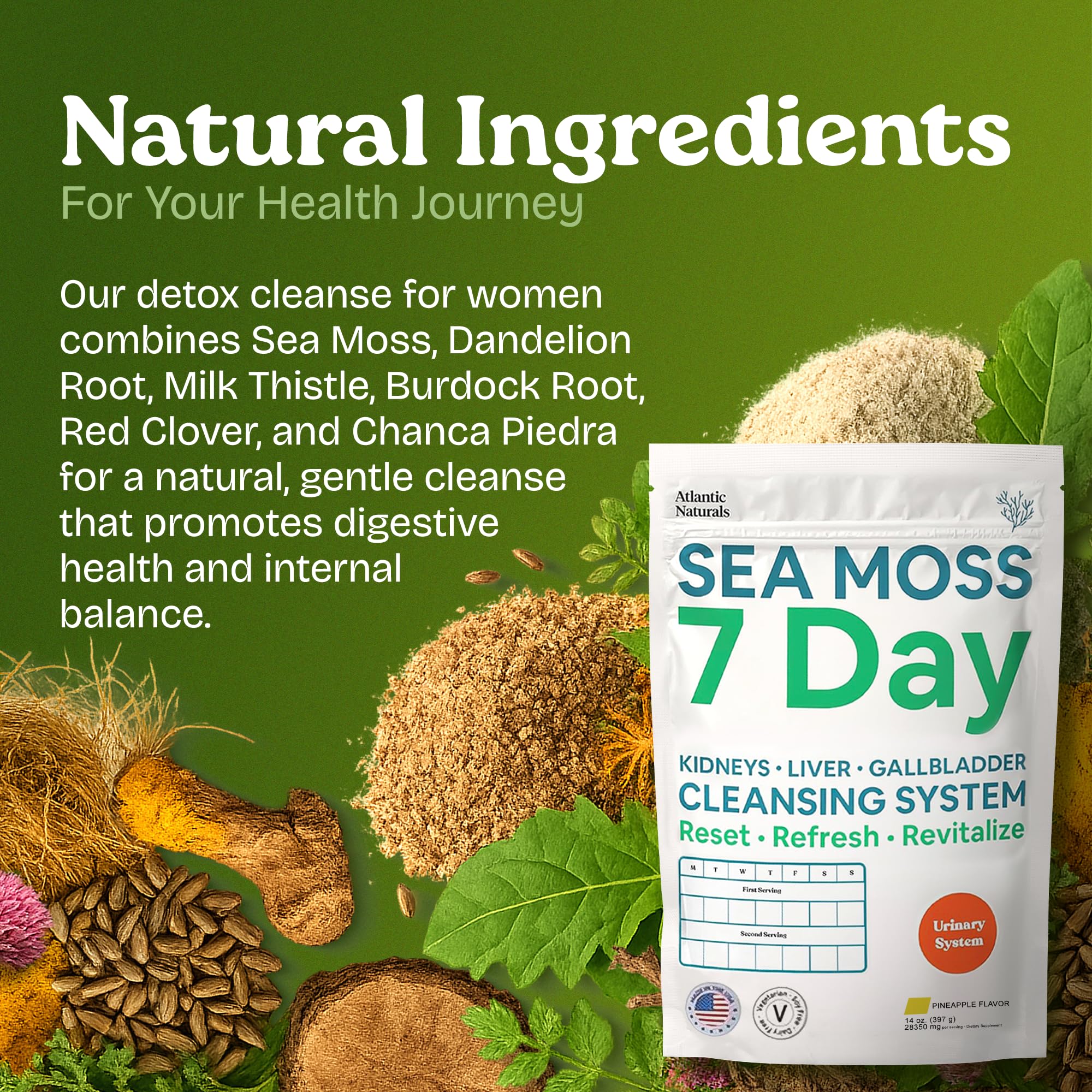 Atlantic Naturals 7 Day Cleanse Powder mixed in a glass of water