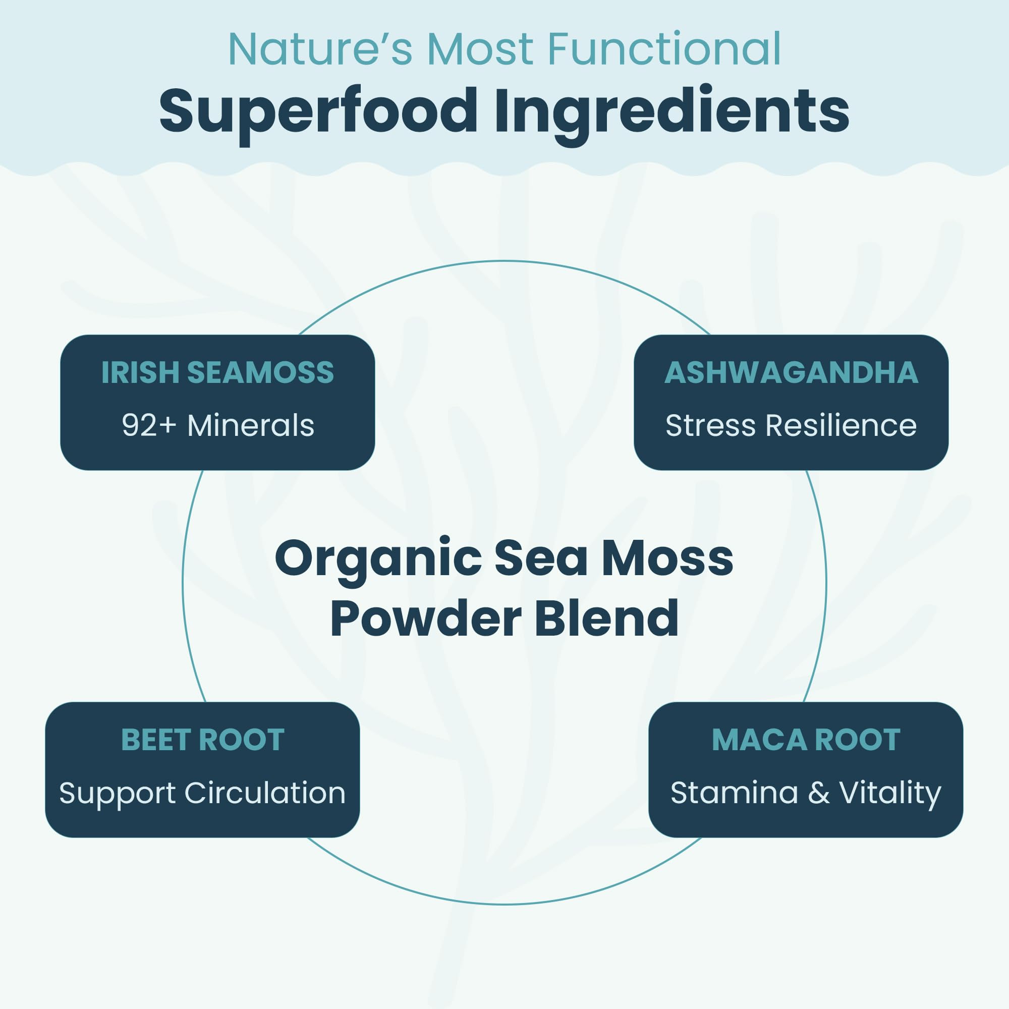 Atlantic Naturals Irish Sea Moss Superfood Powder in a bowl