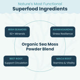 Atlantic Naturals Irish Sea Moss Superfood Powder in a bowl