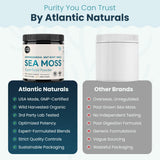 Atlantic Naturals Irish Sea Moss Superfood Powder with ingredients
