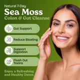 Atlantic Naturals Sea Moss Blend scoop with powder