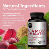 Atlantic Naturals Sea Moss Capsules with Beet Root bottle back view