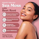 Atlantic Naturals Sea Moss Capsules with Beet Root bottle side view