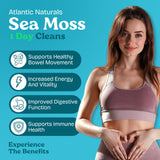 Atlantic Naturals Sea Moss Cleanser Drink bottle side view