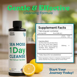 Atlantic Naturals Sea Moss Cleanser Drink ingredients list