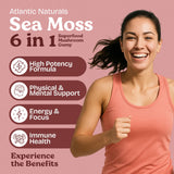 Atlantic Naturals Sea Moss Gummies bottle with 60 gummies