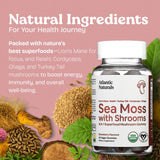 Atlantic Naturals Sea Moss Gummies lifestyle scene