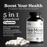 Atlantic Naturals Sea Moss Shilajit Capsules bottle side view