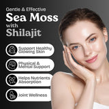 Atlantic Naturals Sea Moss Shilajit Capsules close-up of capsules