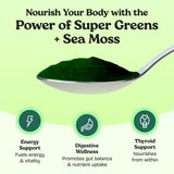 Atlantic Naturals Seamoss Greens Powder Superfood nutritional information