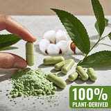 ATNreuro Empty Vegetable Capsules Size 00 in use