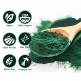 ATNreuro Organic Spirulina Powder mixed in a smoothie