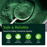 ATNreuro Organic Spirulina Powder on a kitchen counter