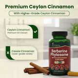 ATTAYA Berberine Phytosome Supplement lifestyle image