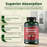 ATTAYA Berberine Phytosome Supplement with Ceylon Cinnamon