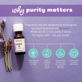 Aura Cacia Cinnamon Leaf Essential Oil in a diffuser setting