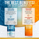 AURA VITAMINS Collagen Supplement 109g lifestyle scene