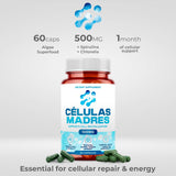 AURA VITAMINS Stem Cell 500mg Capsules displayed on a wooden surface
