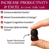 Auri Focus Mushroom Gummies with a daily planner