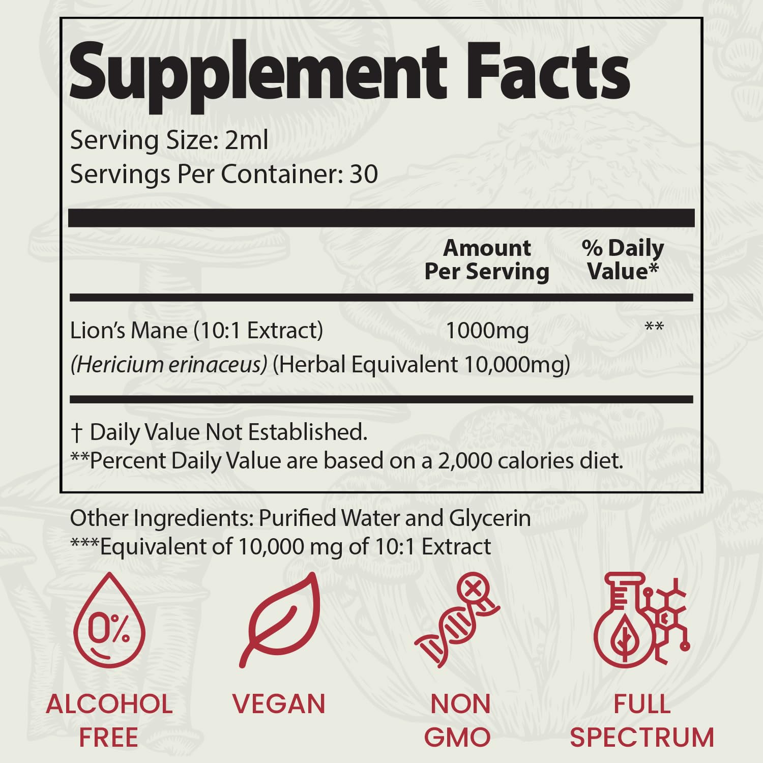 Auri Lion's Mane Mushroom Elixir with herbal supplements