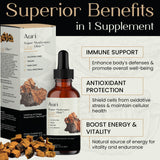 Auri Super Chaga Elixir close-up of the bottle